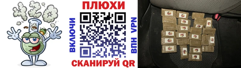 ГАШ Premium Тула