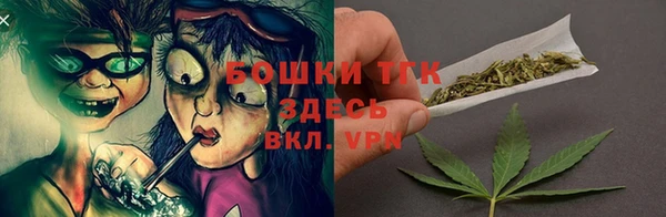 ПСИЛОЦИБИНОВЫЕ ГРИБЫ Алексеевка