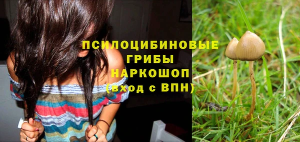 ПСИЛОЦИБИНОВЫЕ ГРИБЫ Алексеевка