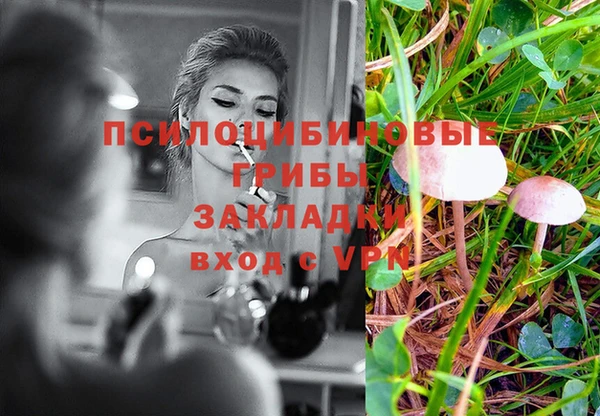 ПСИЛОЦИБИНОВЫЕ ГРИБЫ Алексеевка