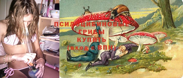 ПСИЛОЦИБИНОВЫЕ ГРИБЫ Алексеевка